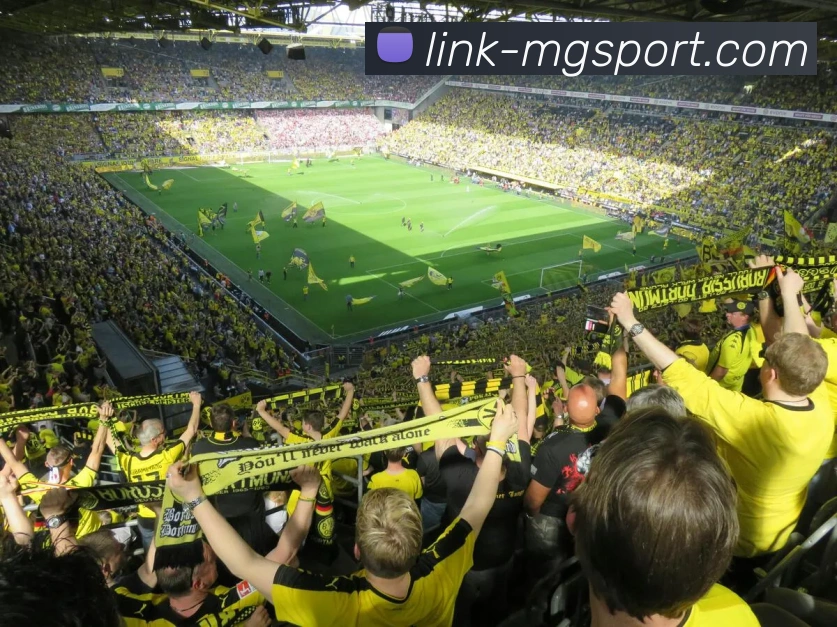 多媒体互动体验