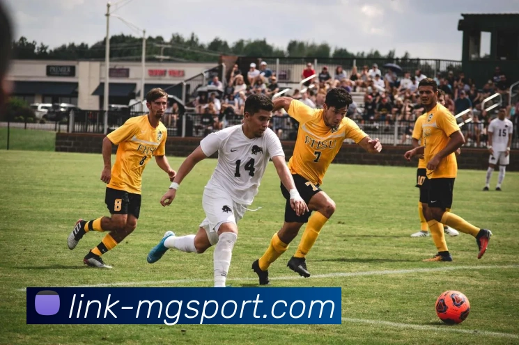 满冠体育APP 高清赛事图